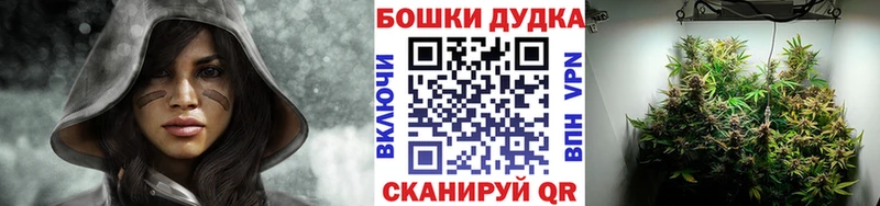 Каннабис планчик Кораблино